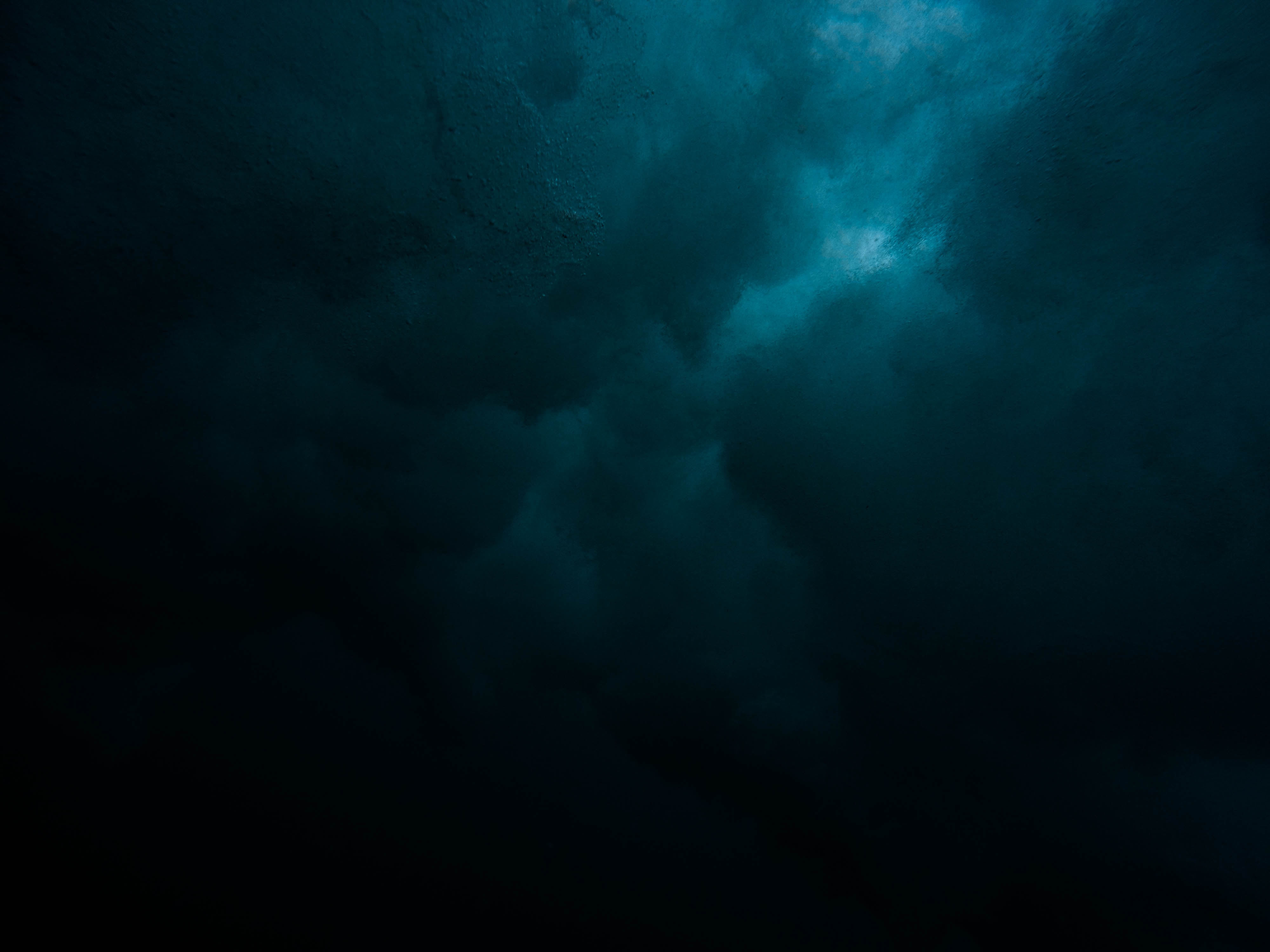 The ocean is changing colors, researchers say. Here's what it means. 